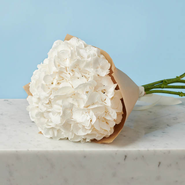 3 White Hydrangeas