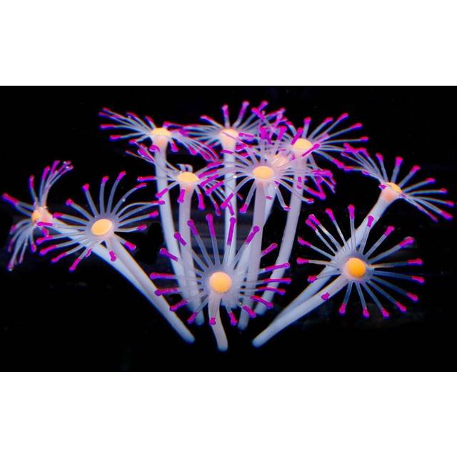 (Purple) Glowing Artificial Fish Tank Aquarium Coral Plants Ornament Underwater Pets Decor