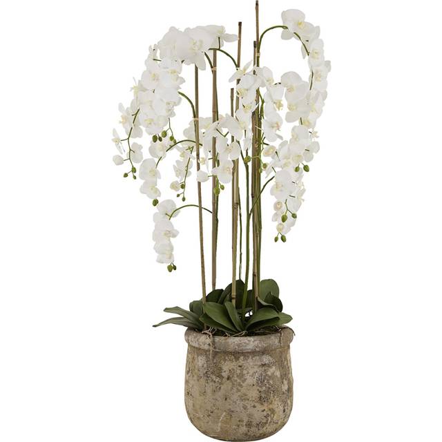 Artificial Large Orchid In Antique Pot - Plastic/Stone - L40 x W40 x H153 cm - White