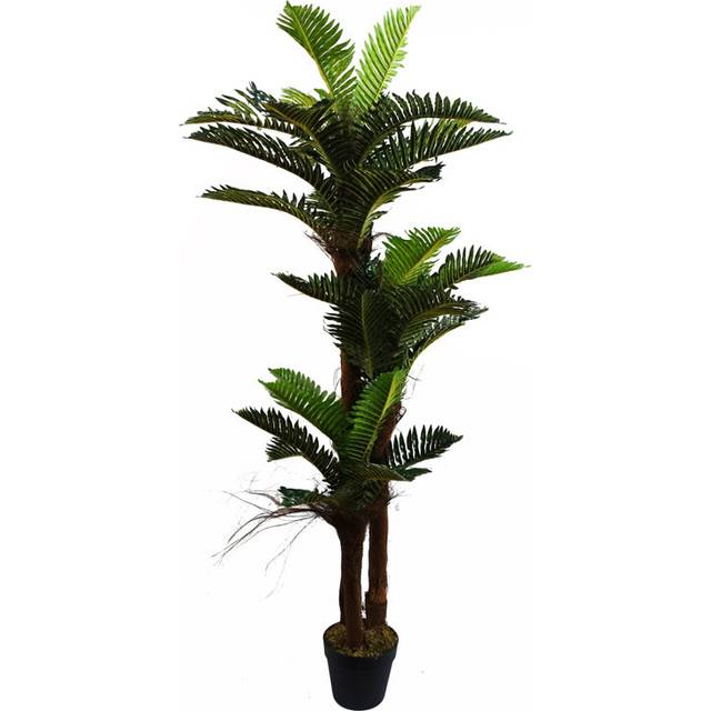 150 Plant (150cm H X 70cm W X 70cm D)