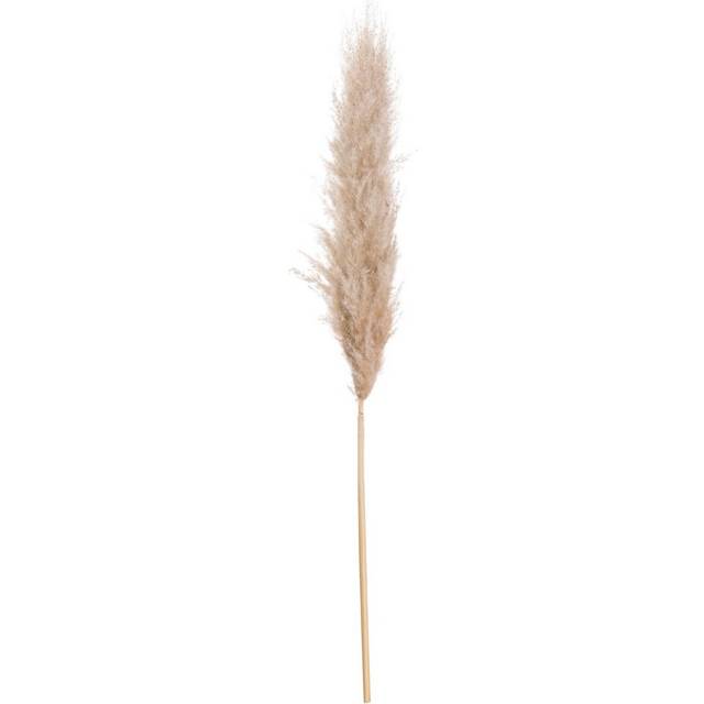(One Size, Butter) Hill Interiors Artificial Single Stem Pampas Grass