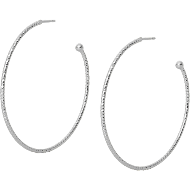 Caroline Svedbom - Örhängen Evita Loop Earrings - Silver