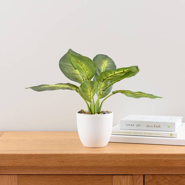 Artificial Dieffenbachia in White Plant Pot - Green