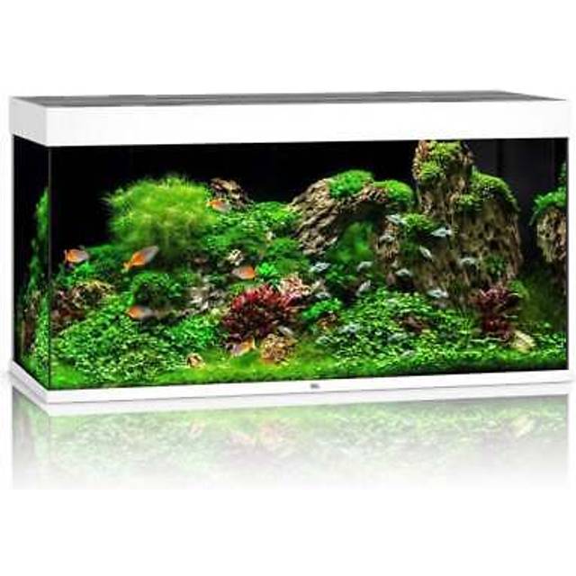 Juwel Rio 350L LED - Aquarium Only - White