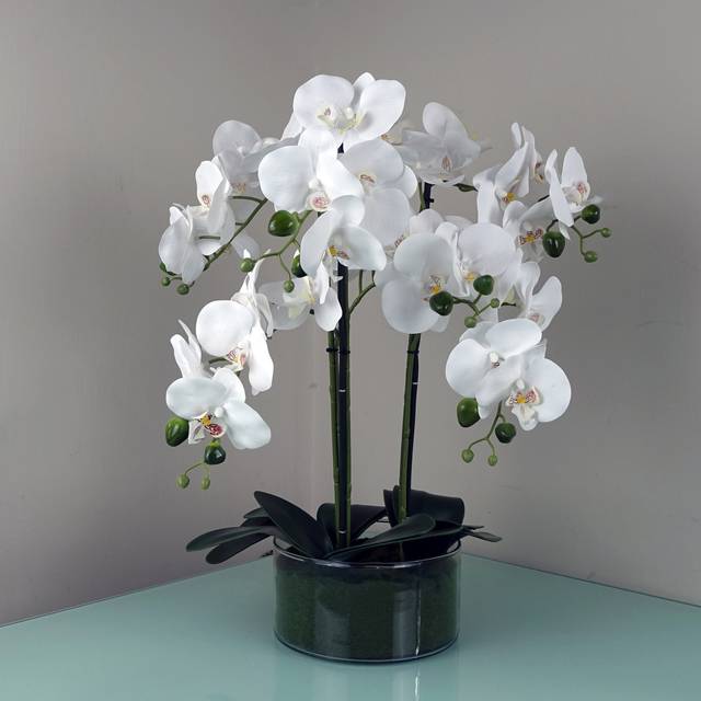 Leaf 50Cm Artificial Orchid With Glass Planter - White, White