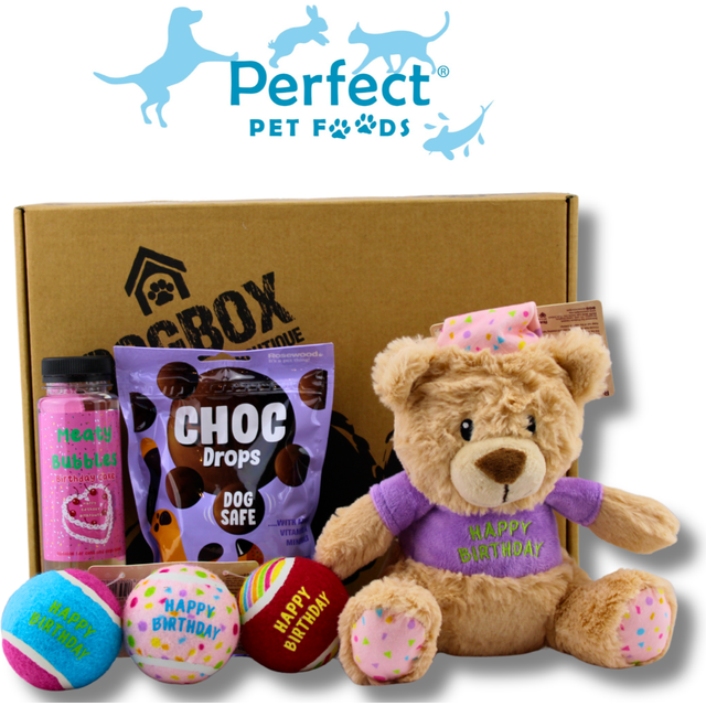 Dog birthday box with dog choc, cake bubbles, balls & bear