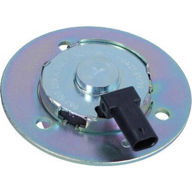 Central Magnet, camshaft adjustment 270689