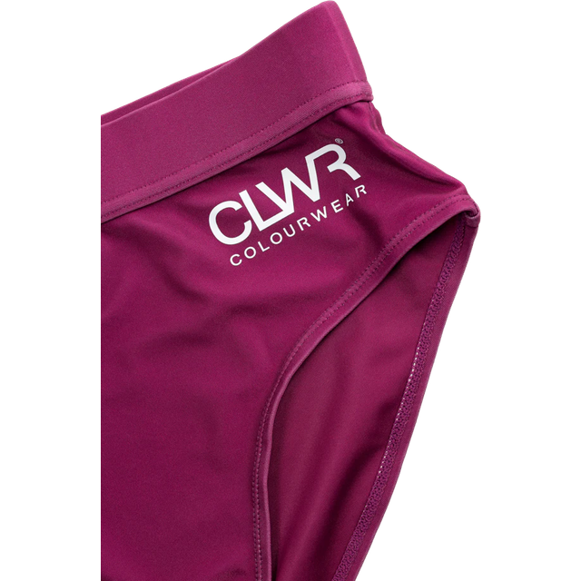 ColourWear Women's High Waist Bikini Bottom Purple, M