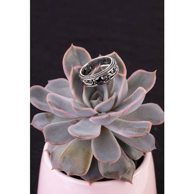 etNox - The Princess mit Zirkonia - Ring - grey - 56 mm - Zirconia,925 Sterling Silver,Silver