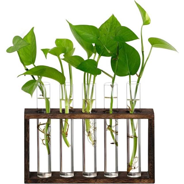 Glass Vase with Test Tube, Creative Wooden Frame, Ornaments, Hydroponic Plant Container, Office Home Decor - COOCHEER