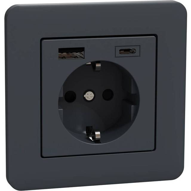 Schneider Electric Exxact Jordat vägguttag med USB-portar Svart