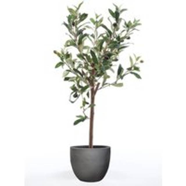 Emerald Artificial Olive Mini Tree 65 cm - Green - One Size