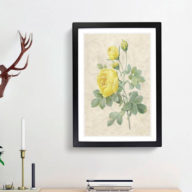 The Yellow Roses by Pierre-Joseph Redouté - Picture Frame Painting Print - Black Framed (36cm H x 27cm W x 2cm D)