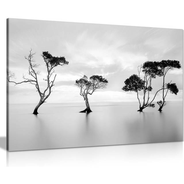 Panther Print Fine Art Prints Black & White Trees On Calm Water Artistic Framed Canvas Print, Pictures For Home Walls, Bedroom, Living Room & Bathroom (46cm H x 31cm W)