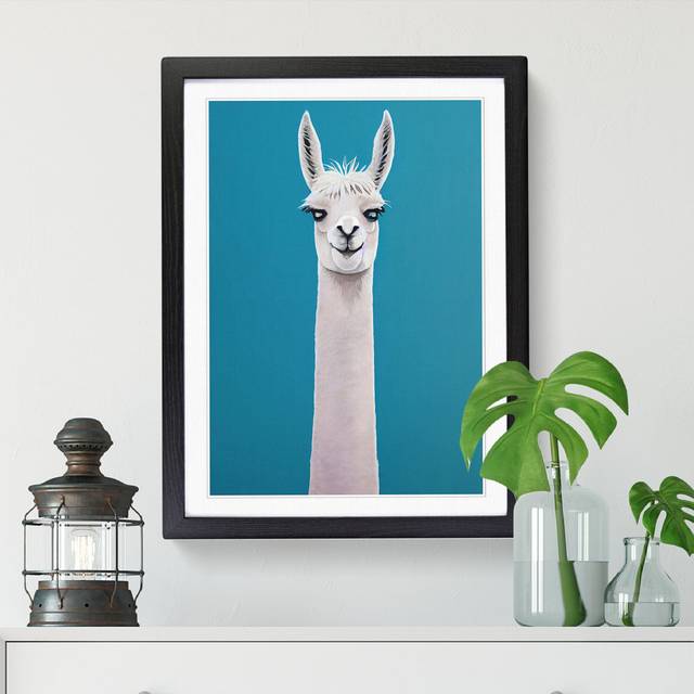 Llama Portrait Vol.4 - Single Picture Frame Graphic Art - Walnut (34cm H x 25cm W x 2cm D)