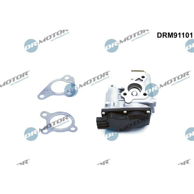 EGR valve DRM91101