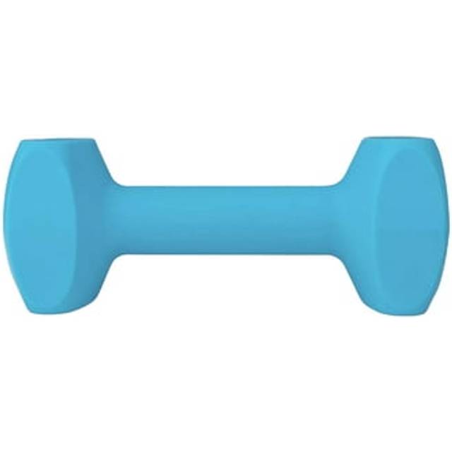 (L, Light Blue) Coachi Dumbbell Training Dog Retrieving Toy