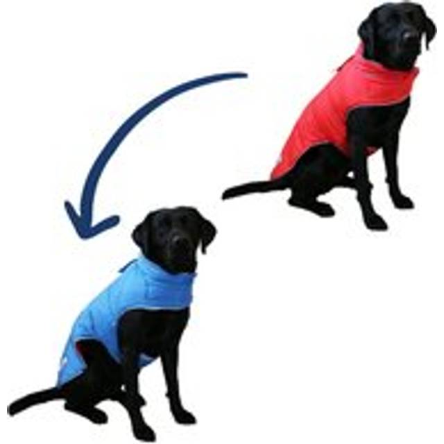 Ancol Viva Reversible Coat Red/Blue 35cm