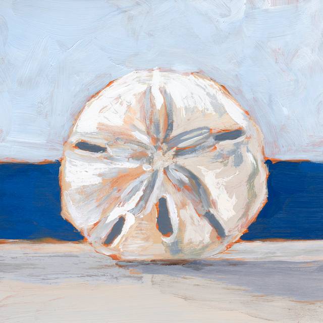 Sand Dollar By The Sea (91cm H x 91cm W)