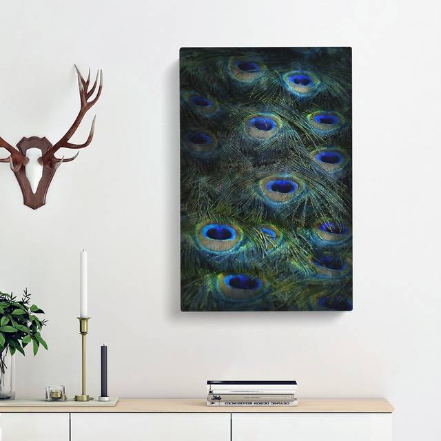 The Feathers of a Peacock - Wrapped Canvas Painting Print (60cm H x 40cm W x 3cm D)