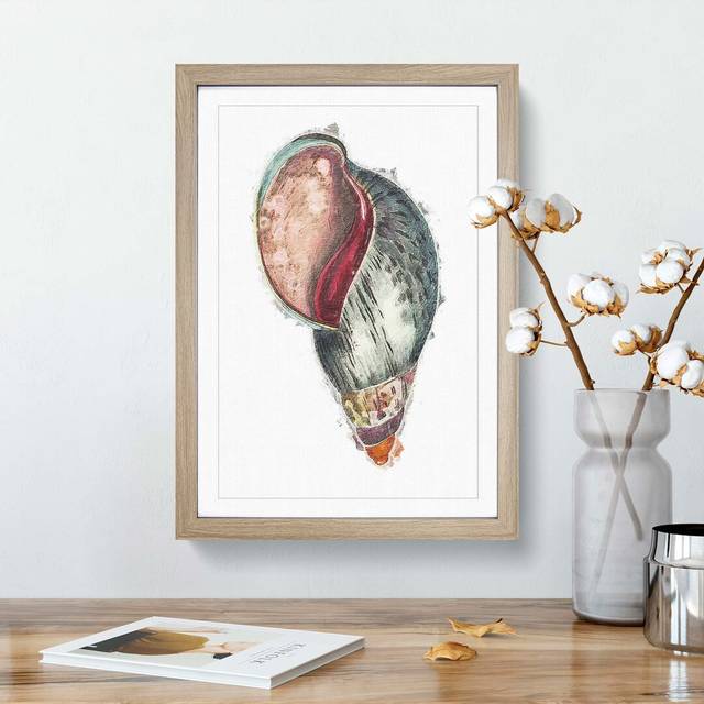 Colourful Seashell by George Shaw - Picture Frame Painting - Oak Framed (36cm H x 27cm W x 2cm D)