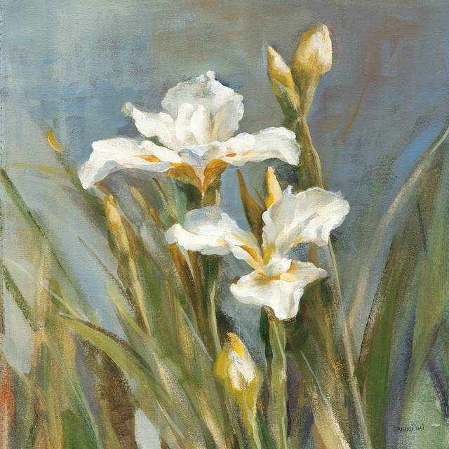 Spring Iris II by Danhui Nai - Wrapped Canvas Art Prints (51cm H x 51cm W x 3.8cm D)