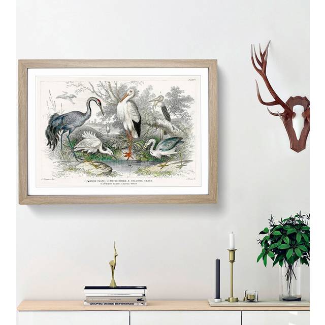 Crane, Stork, Egret & Heron by Oliver Goldsmith - Picture Frame Painting Print - Oak Framed (36cm H x 48cm W x 2cm D)
