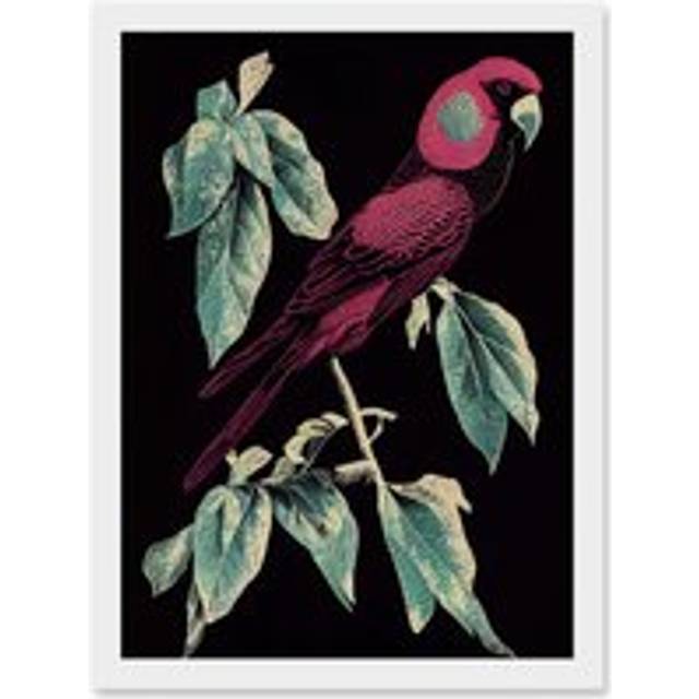 Burgundy Parakeet Retro Modern Vintage Tropical Jungle Artwork Framed Wall Art Print A4 - White - One Size