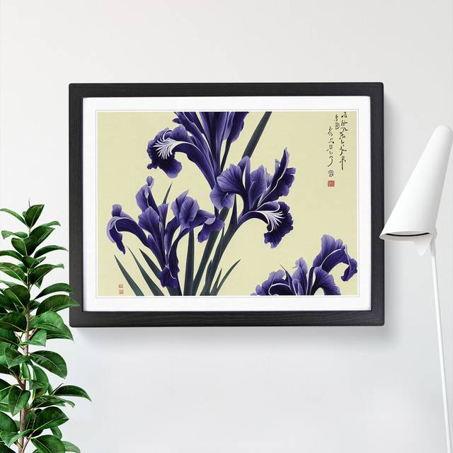 Japanese Iris Flowers - Picture Frame Graphic Art - Black Framed (34cm H x 46cm W x 2cm D)
