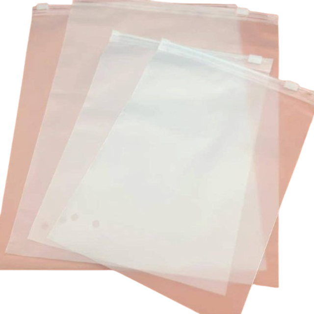SHEIN 5pcs Clear & Frosted Double-Sided Ziplock Packaging Bags For Storage Back To School