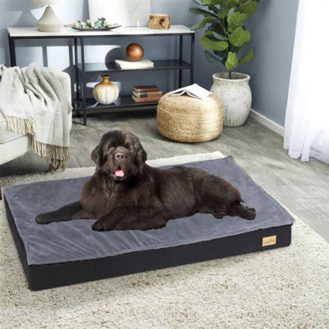 Orthopedic memory foam velvet dog bed washable comfort sofa crate jumbo mattress