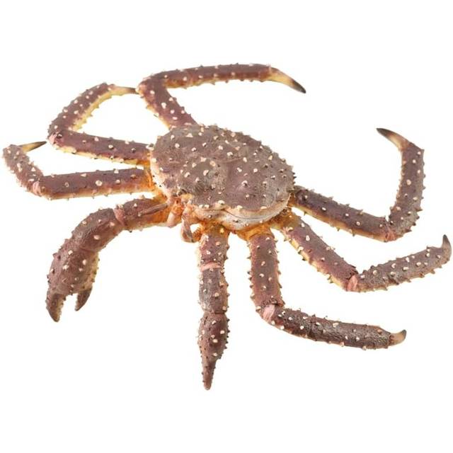 CollectA King Crab