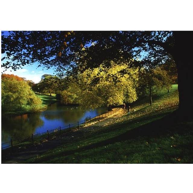 Phoenix Park Dublin Co Dublin Ireland Poster Print by The Irish Image Collection, 36 x 24 - Large