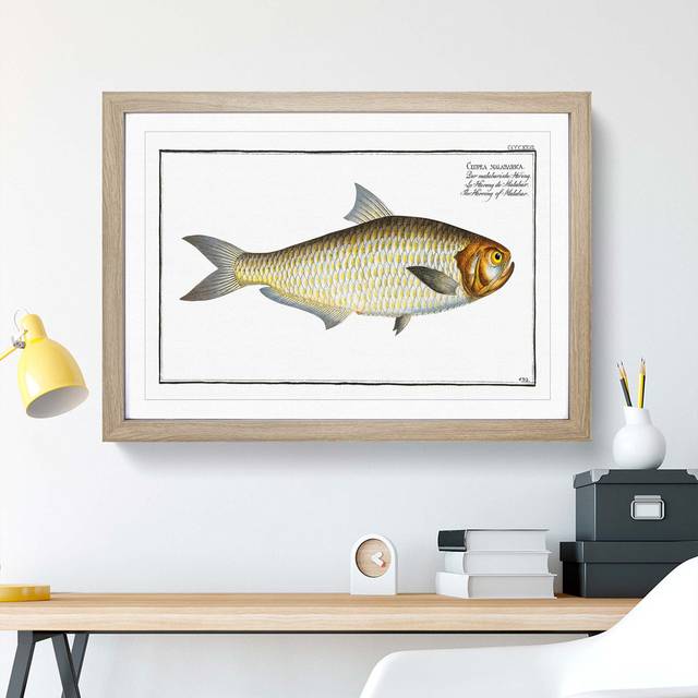 Herring Fish by M.E. Bloch - Picture Frame Painting Print - Oak Framed (48cm H x 65cm W x 2cm D)