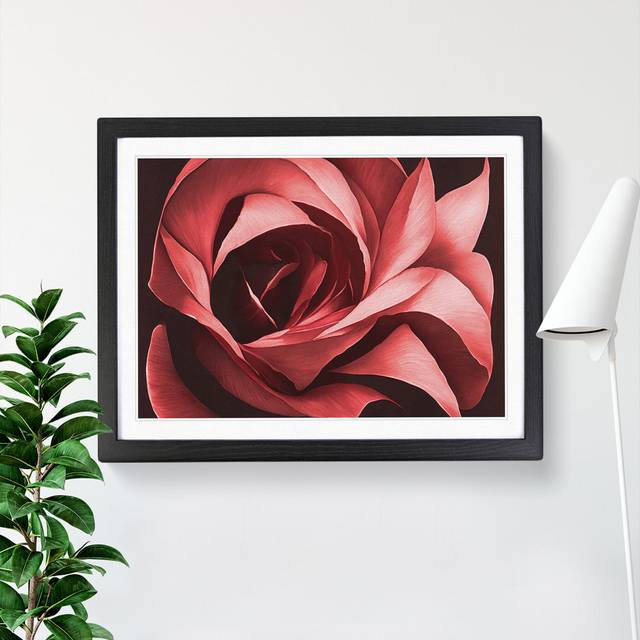 Desirable Rose Flower - Picture Frame Graphic Art - Black (25cm H x 34cm W)
