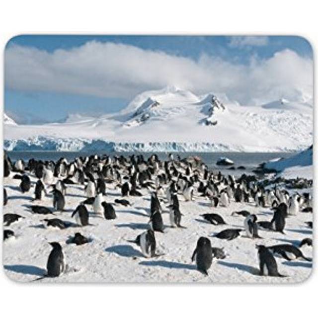 Penguin Scenery Mouse Mat Pad - Antarctica Penguins Computer #8849