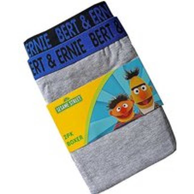 Sesame Street Mens Bert & Ernie 2Pk Boxer Short