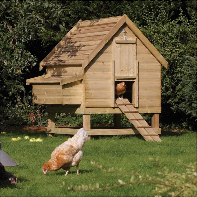 Rowlinson Chicken Coop