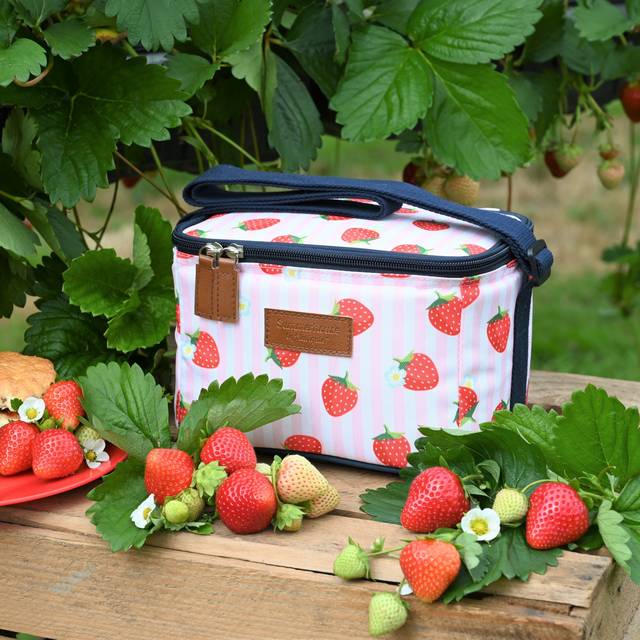 Summerhouse By Navigate Strawberries &Amp; Cream Insulated Personal Picnic Cool Bag - Pink - One Colour