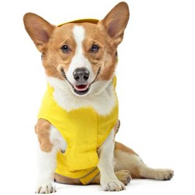 Canada Pooch Yellow Dog Torrential Tracker  X-Small