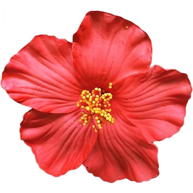 1Pc Red Hawaiian Flower Hair Clip for Women Girls Fashion Bohemian Flowers Hair Accessory for Dancer Bridal Wedding Beach Party Hair Clip Clips and Ba