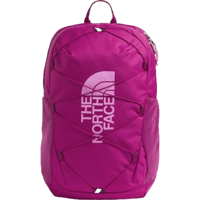 Pink and purple north face backpack online