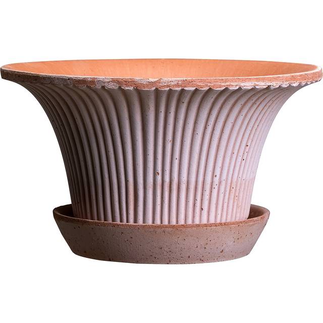 Bergs Potter - Daisy Kruka Med Fat Rosa Ø25 Cm - Rose