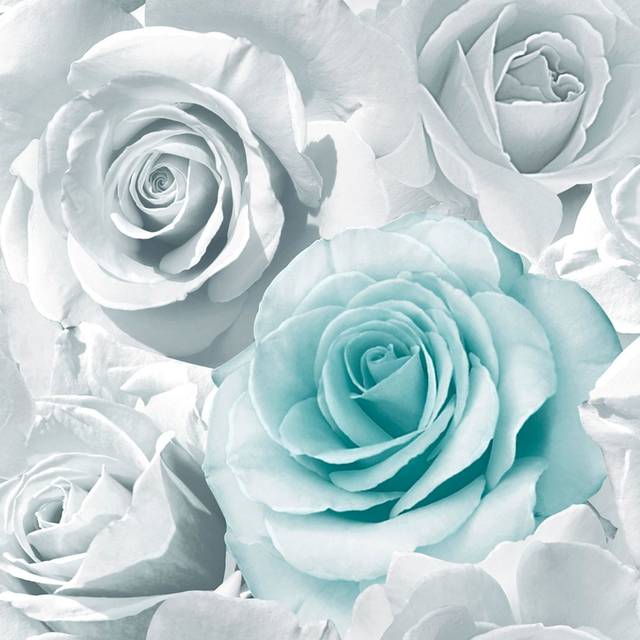 Madison Glitter Aqua Wallpaper 139523 - Flower Floral Large Roses Blue - Muriva