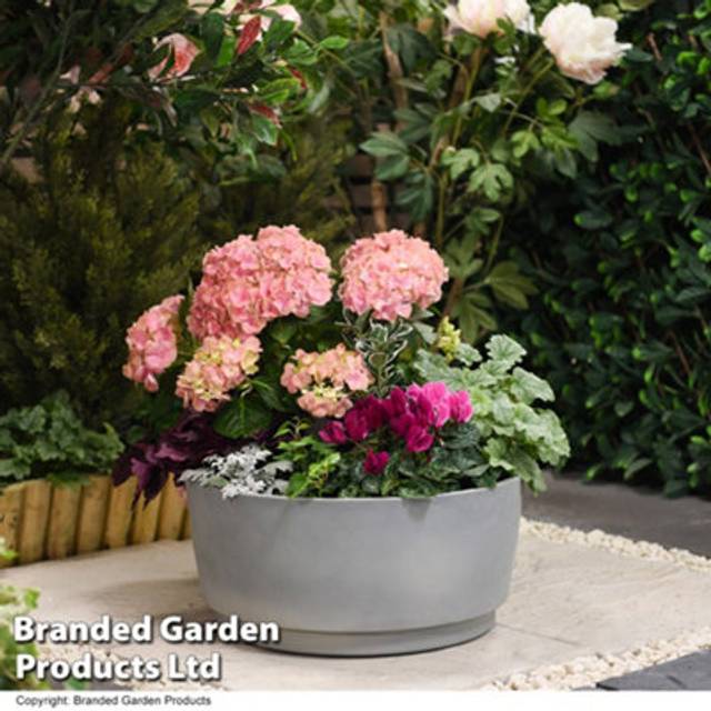 Garden Gear Concrete Caesar Bowl 46cm - Grey - 46 x 46 x 21cm