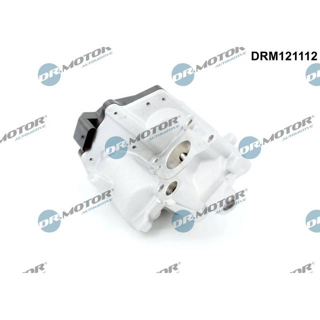 EGR valve DRM121112
