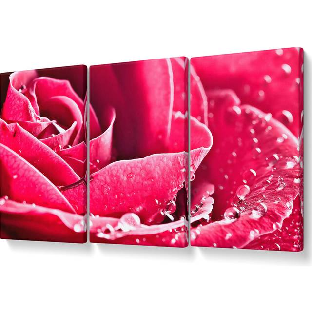 Rose Petals in Bloom - 3 Piece Wrapped Canvas Graphic Art (101.6cm H x 203cm W)