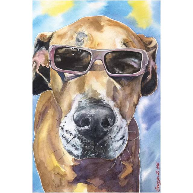 Cool Great Dane by George Dyachenko - Wrapped Canvas Photograph (45.72cm H x 30.48cm W x 1.91cm D)