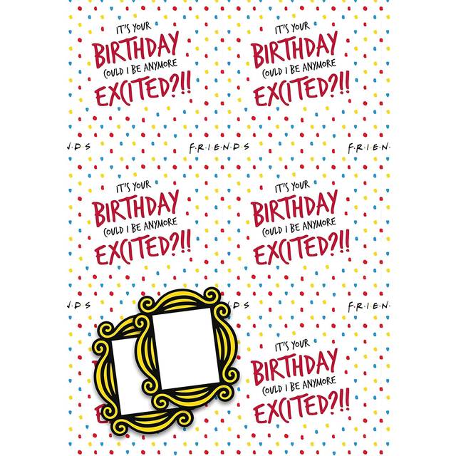 FRIENDS Wrapping Paper 2 Sheets & 2 Tags Gift Wrap