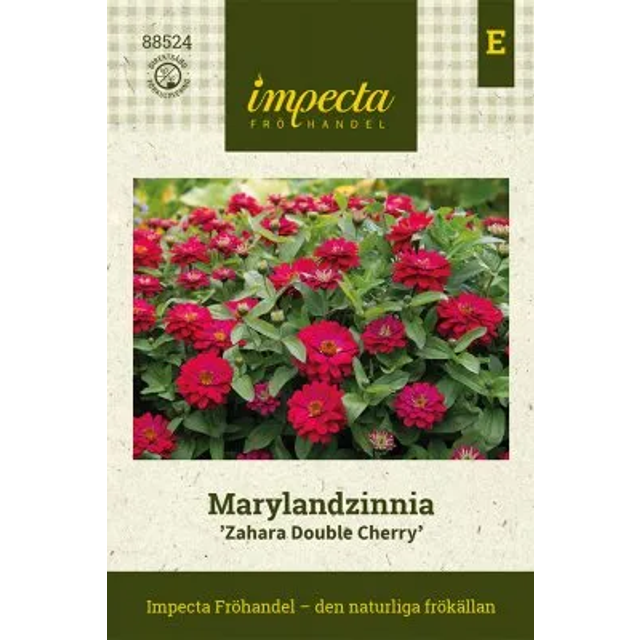Zinnia, Maryland-, Zahara Double Cherry